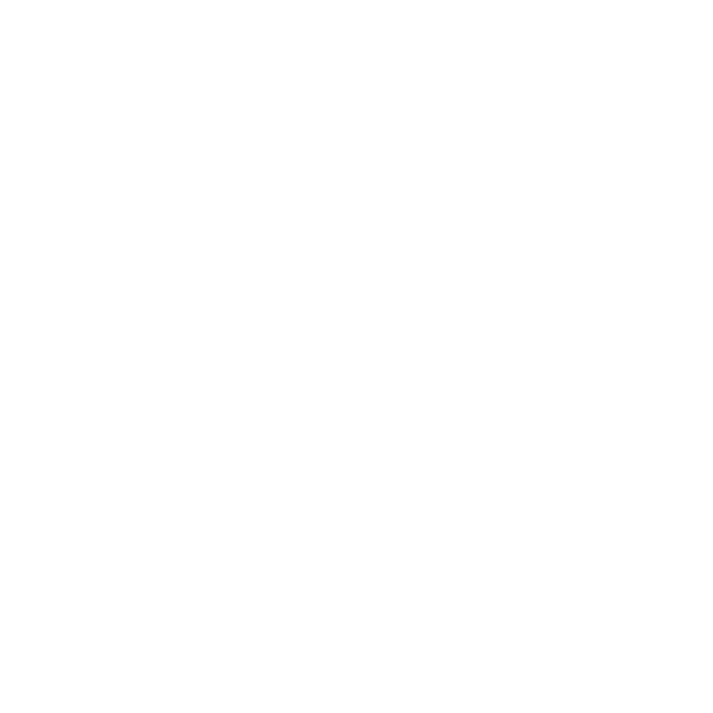 Dino Solutions